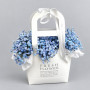 Букет из 5 голубых гипсофил в сумочке